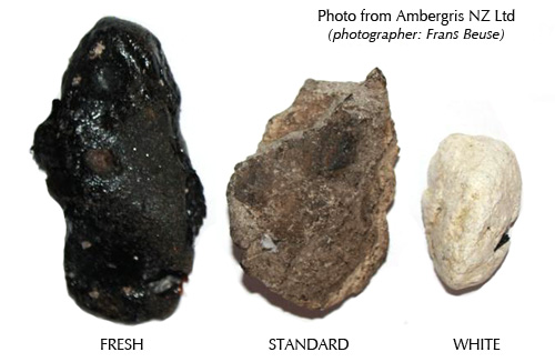 ambergris