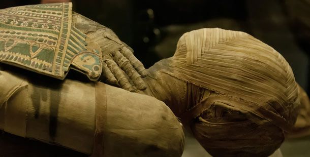 8993395_25-intriguing-facts-about-mummies-that-might_2e91c6fc_m