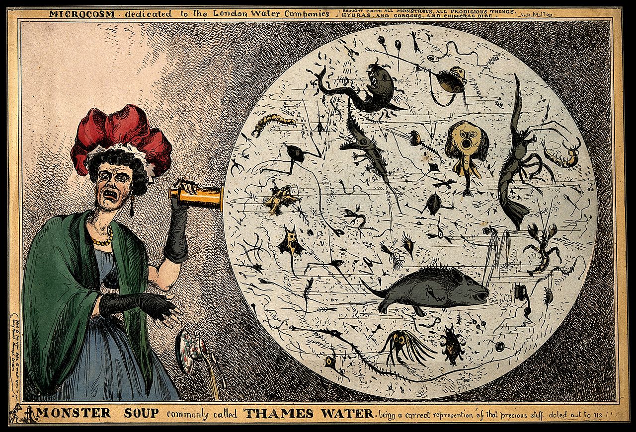 Monster_Soup_commonly_called_Thames_Water._Wellcome_V0011218.jpg