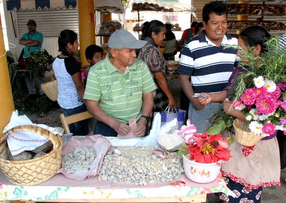 d5b4fec9e8e258458b9d7371a93f8a25